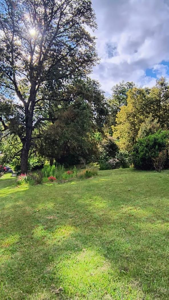 Cautiva Morena San Martín de los Andes Exterior foto